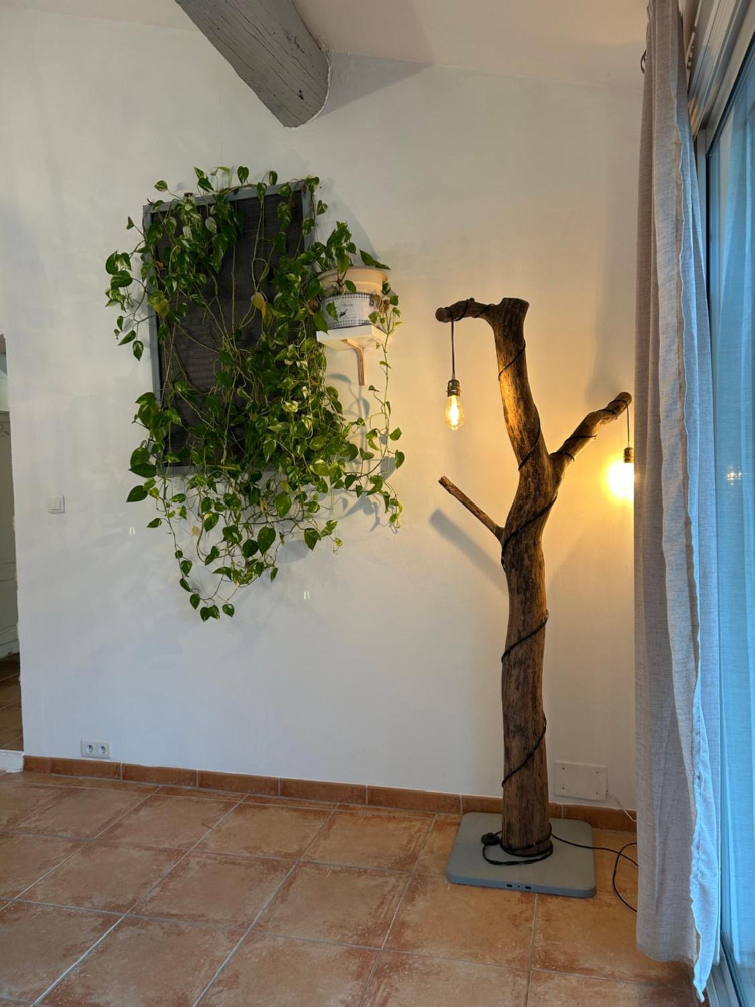 Le Mazet Des Joncs En Provence Villa Saint-Pierre-de-Vassols Ngoại thất bức ảnh