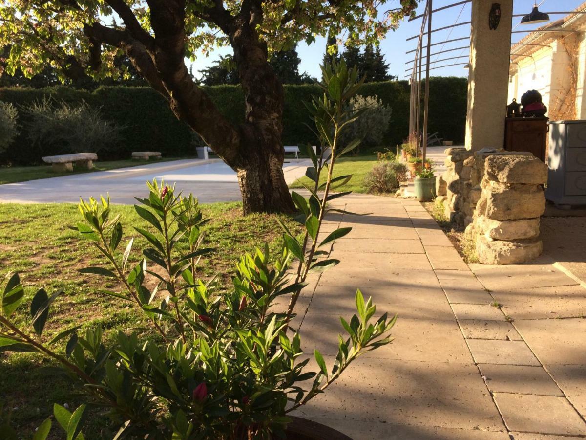 Le Mazet Des Joncs En Provence Villa Saint-Pierre-de-Vassols Ngoại thất bức ảnh