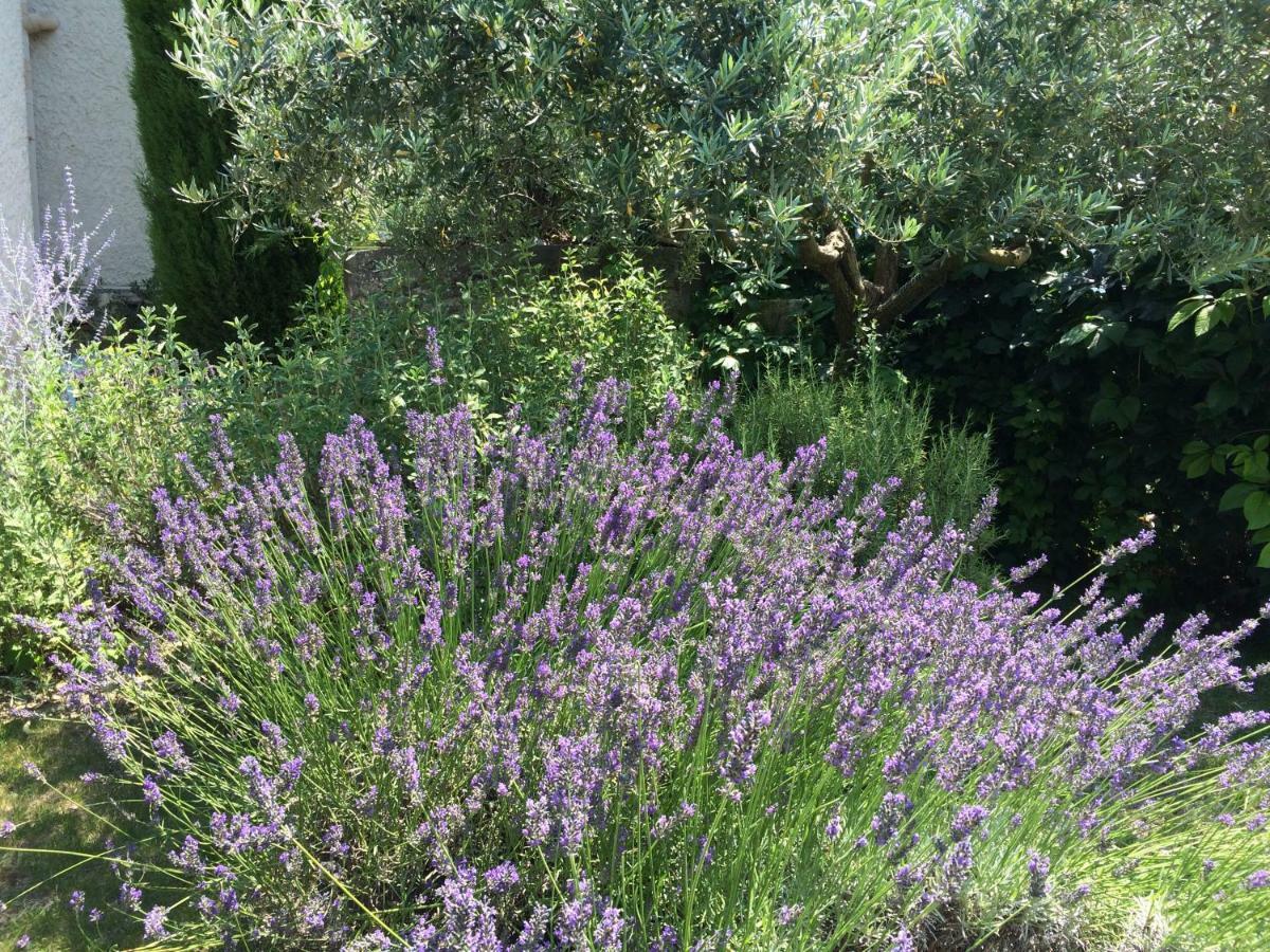 Le Mazet Des Joncs En Provence Villa Saint-Pierre-de-Vassols Ngoại thất bức ảnh