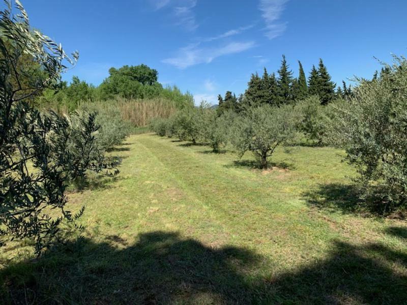 Le Mazet Des Joncs En Provence Villa Saint-Pierre-de-Vassols Ngoại thất bức ảnh