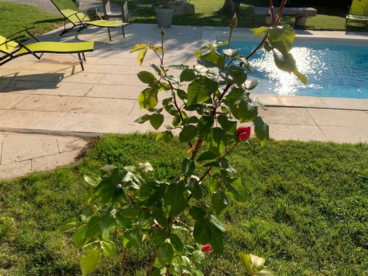 Le Mazet Des Joncs En Provence Villa Saint-Pierre-de-Vassols Ngoại thất bức ảnh